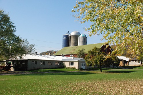 Farm in the autumn