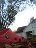 Single Red Child's Croc in the Front Yard