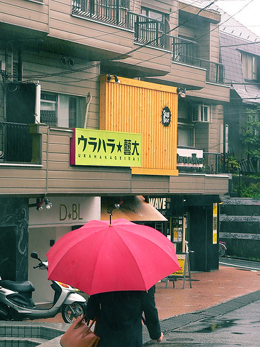 우산과 하라주쿠 골목