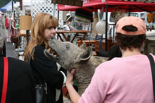 Hyena head at the Rose Bowl Flea Market