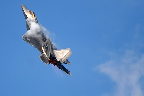 Fighter airplane picture - F-22 Raptor at the 2009 Joint Services Open House at Andrews AFB