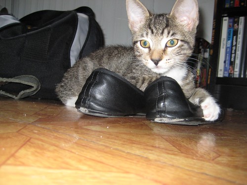 buster in shoes