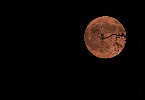 Smoke Tinged Halloween Moon (by peasap)