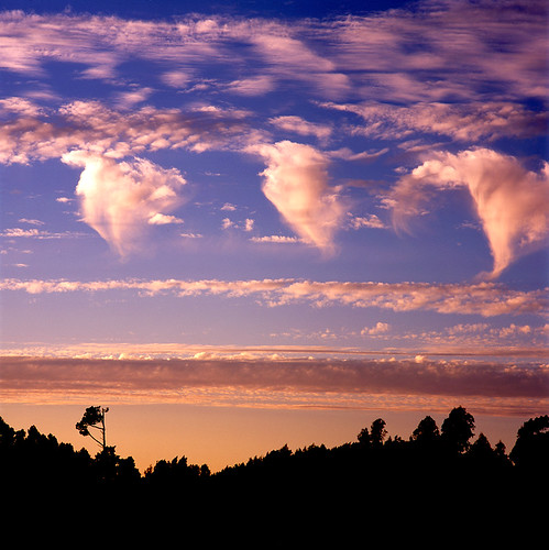 Clouds, Tilden Park, Berkeley, CA