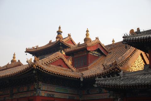 Pekin - temple des Lamas (20) [480]