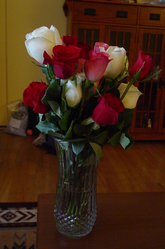 Roses Feb 08 006