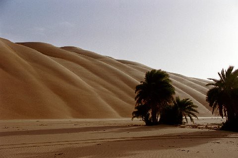 NOUAKCHOT - Mauritania (3)
