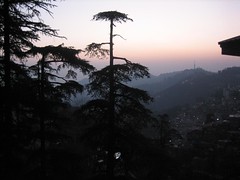 Shimla Dusk
