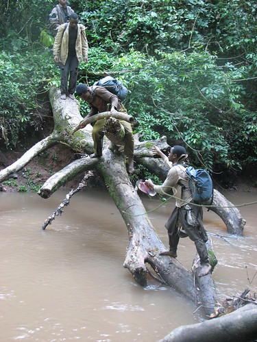 negotiating a river with ivory