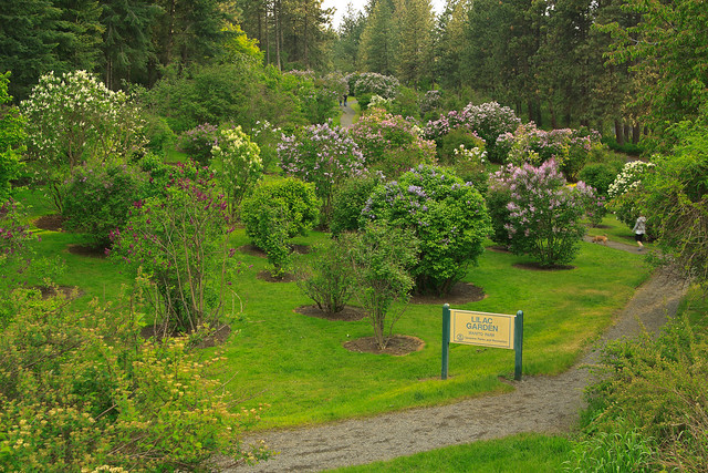 Lilac Gardens at Manito Park