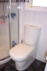 Bathroom remdel : the new toilet