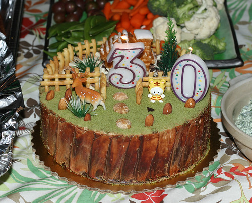  My 30th Birthday Cake! - Children's Novelty Cake From J & J Bakery in 