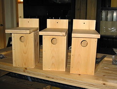 Three birdhouses ready for oil