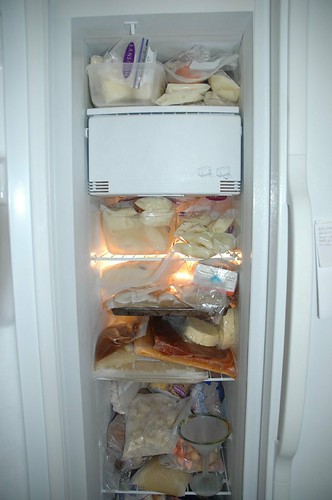 The contents of my freezer