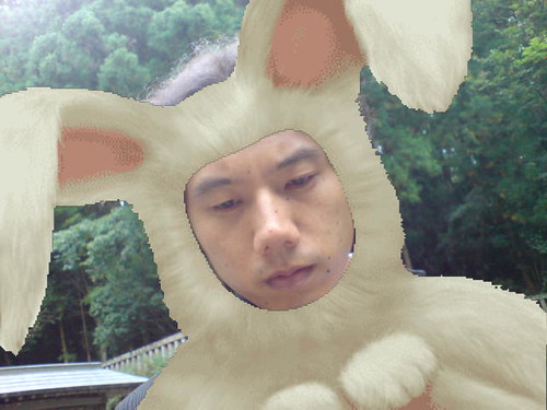 Ryo the rabbit