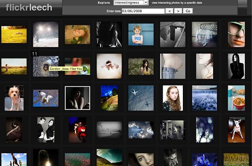 Flickr Leech beta is live! (by AndrewNg.com)