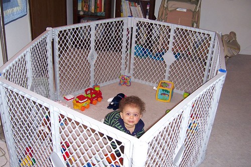 Monkey In His Cage