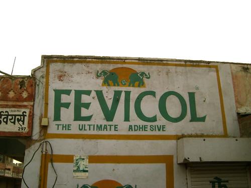 Fevicol Latin