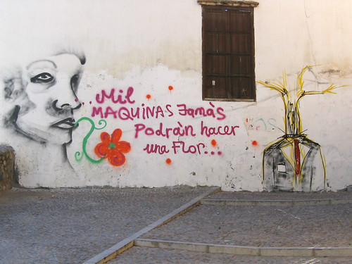 graffiti of a face in profile over a flower, next to the words, "mil maquinas jamais podran hacker una flor"
