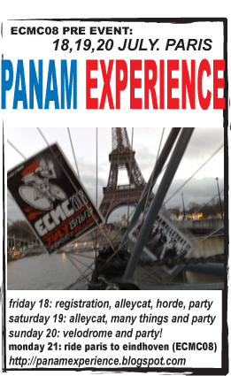 panam experience flyer # 2