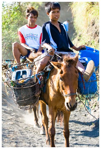Taal boys, horses, water containers Buhay Pinoy Philippines Filipino Pilipino  people pictures photos life Philippinen  rural scene igib    