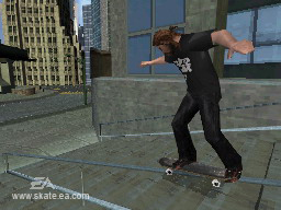 Skate it for Nintendo DS