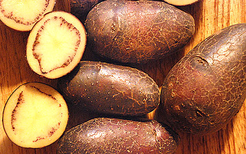 Shetland Black vintage potatoes