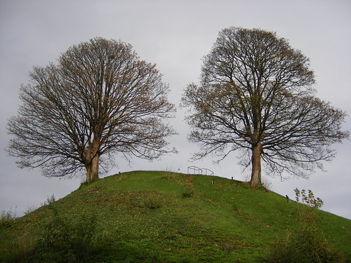the two trees