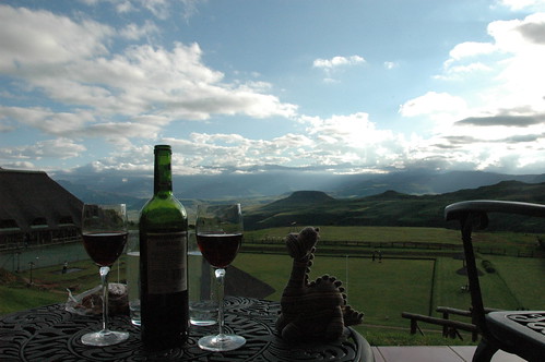 Dino enjoying the view with some wine (by Louis Rossouw)