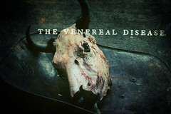the veneral disease