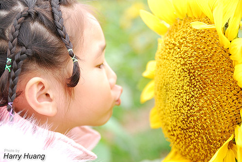 DSC_5951 Daughter-Kid & Sunflower-孩童-女孩-女生-兒童-芷葳