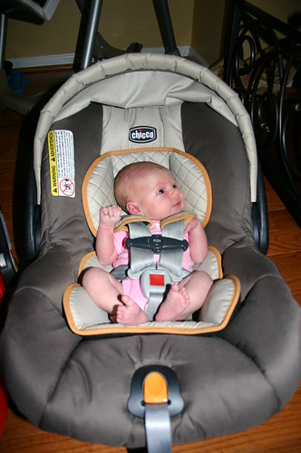Madelyn in Car seats