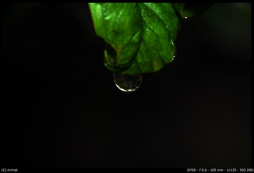 water_drop2