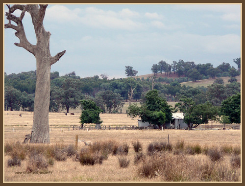 sunburnt country poem. I love a sunburnt country, A land of sweeping plains,