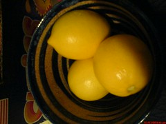 Meyer lemons!