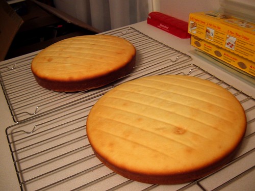 SaraT-bakedplaincakes