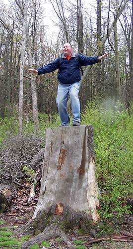 Josh, surfing the really massive stump