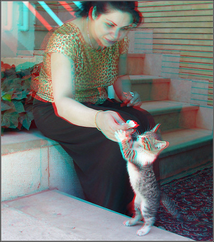 Kitty 3D Anaglyph You need Red Cyan glasses