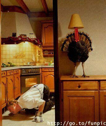 Turkey lamp.jpg