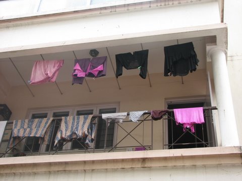 pink underclothing drying after holi 230308