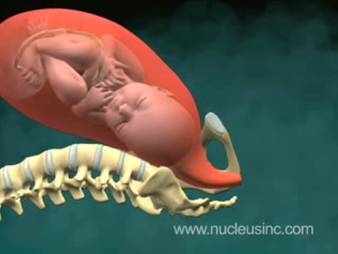 orgasmic childbirth videos