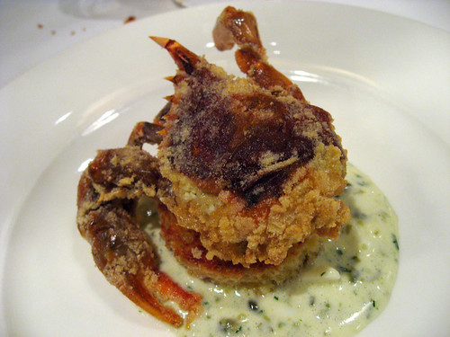 Really fantastic fresh soft shell crab, lightly battered and fried. One of the best examples Ive had in a long while.