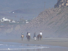 horseback rising on the beach