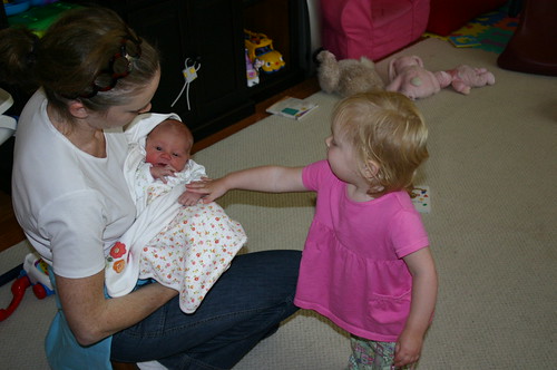 Anna touching Madelyn while Aunt Stephanie holds her