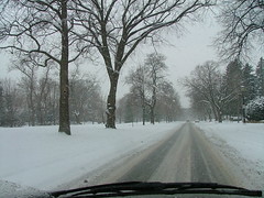 Minnesota Winter