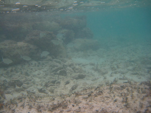 Underwater offshore (by bandini66)