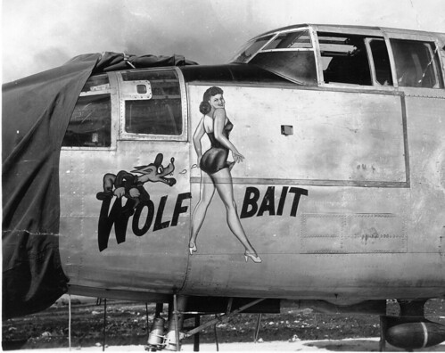 Warbird picture - B-25 &quot;Wolf Bait&quot; Nose Art