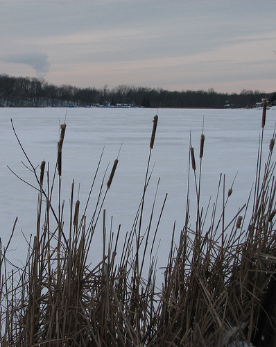 Frozen Wolf Lake