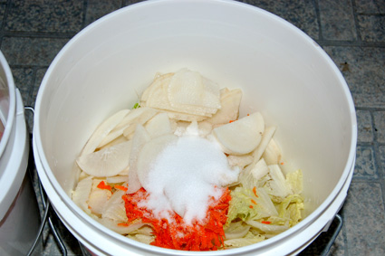 Kimchi - Day 1