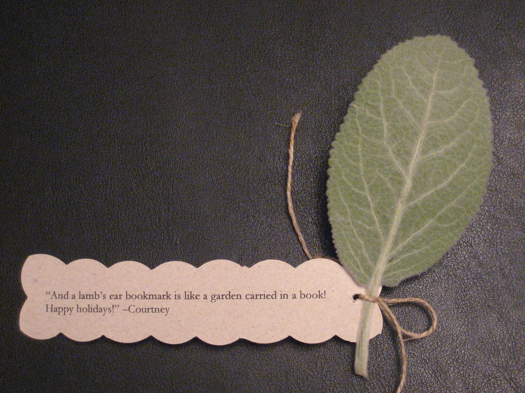 Lamb's ear leaf bookmark--back
